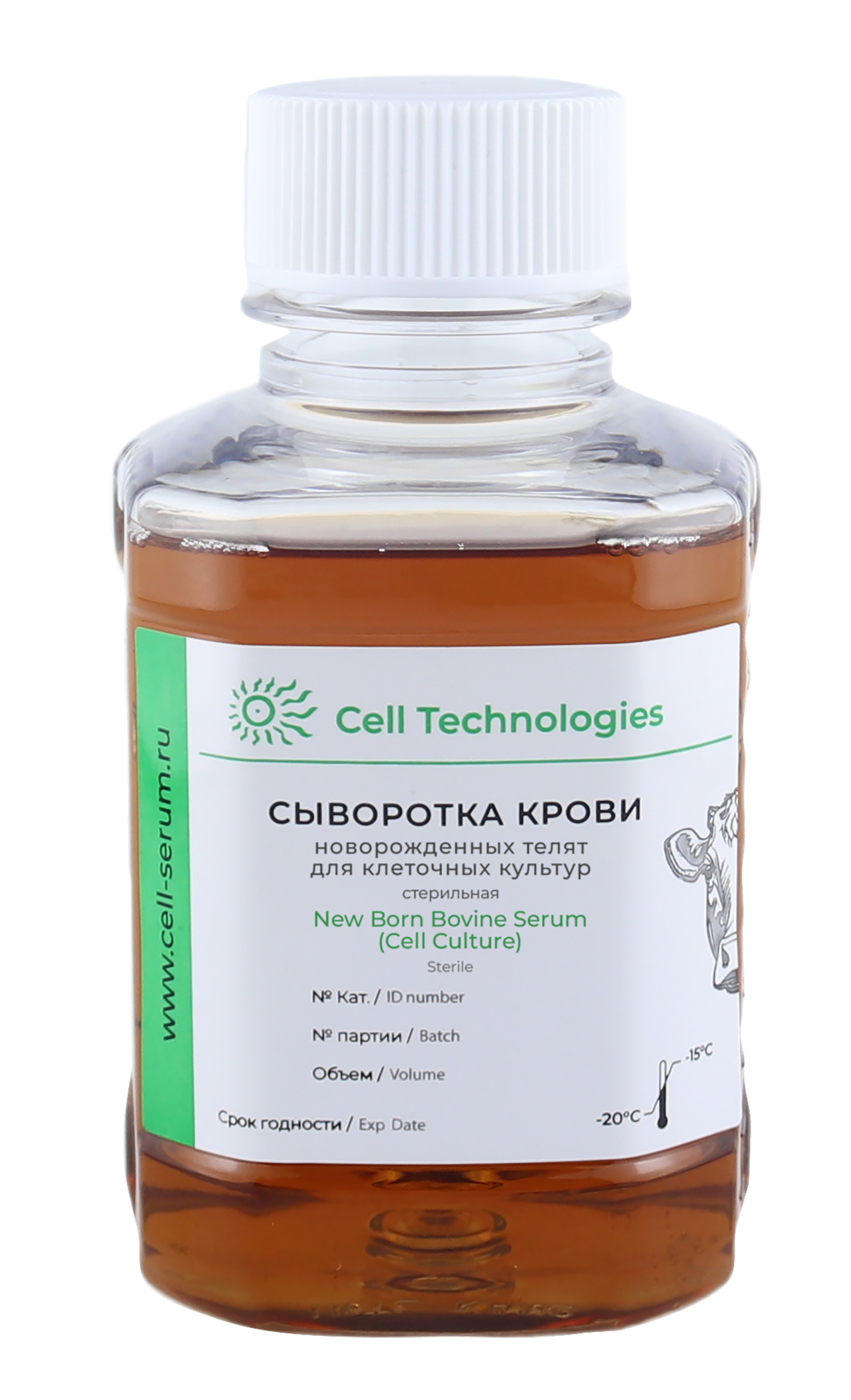 Сыворотка крови