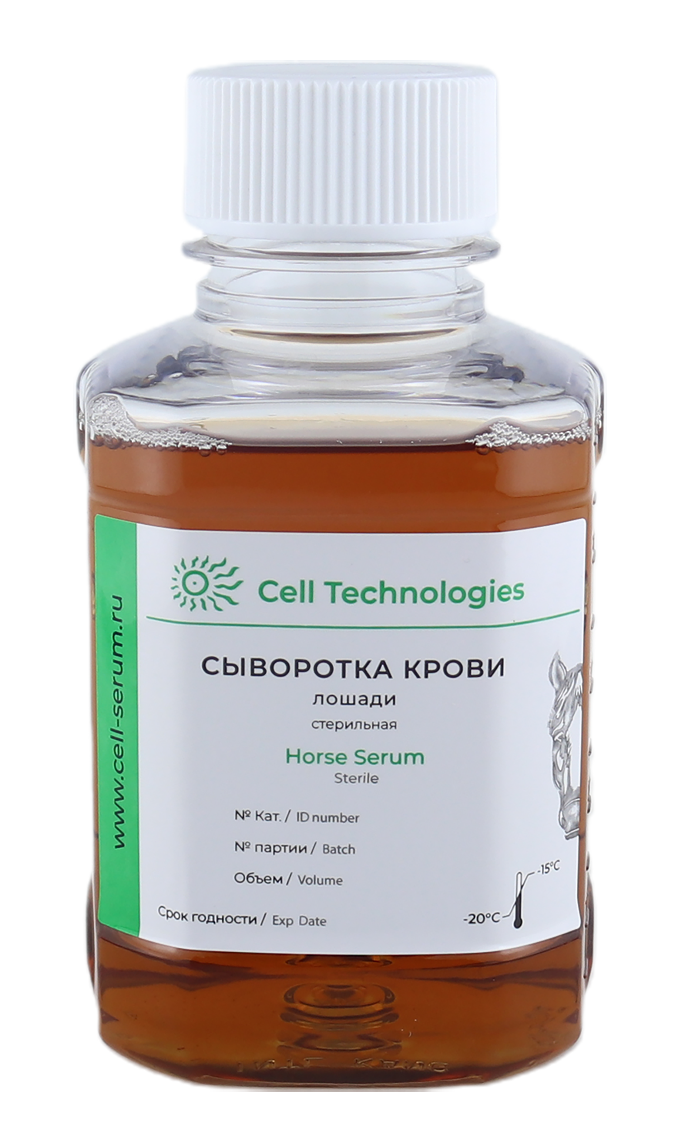 Сыворотка крови